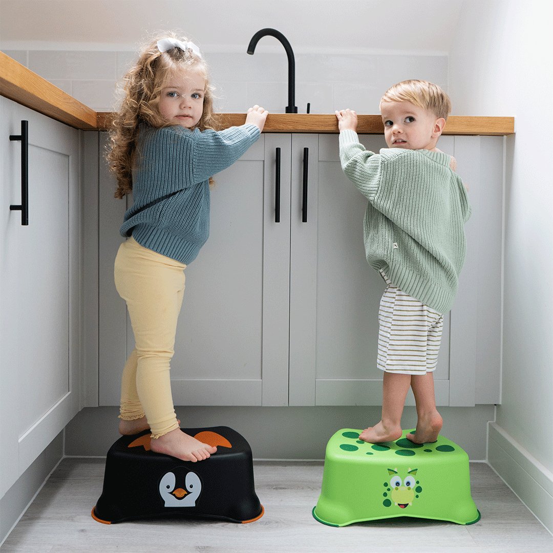 Dinosaur My Little Step Stool - My Carry Potty®