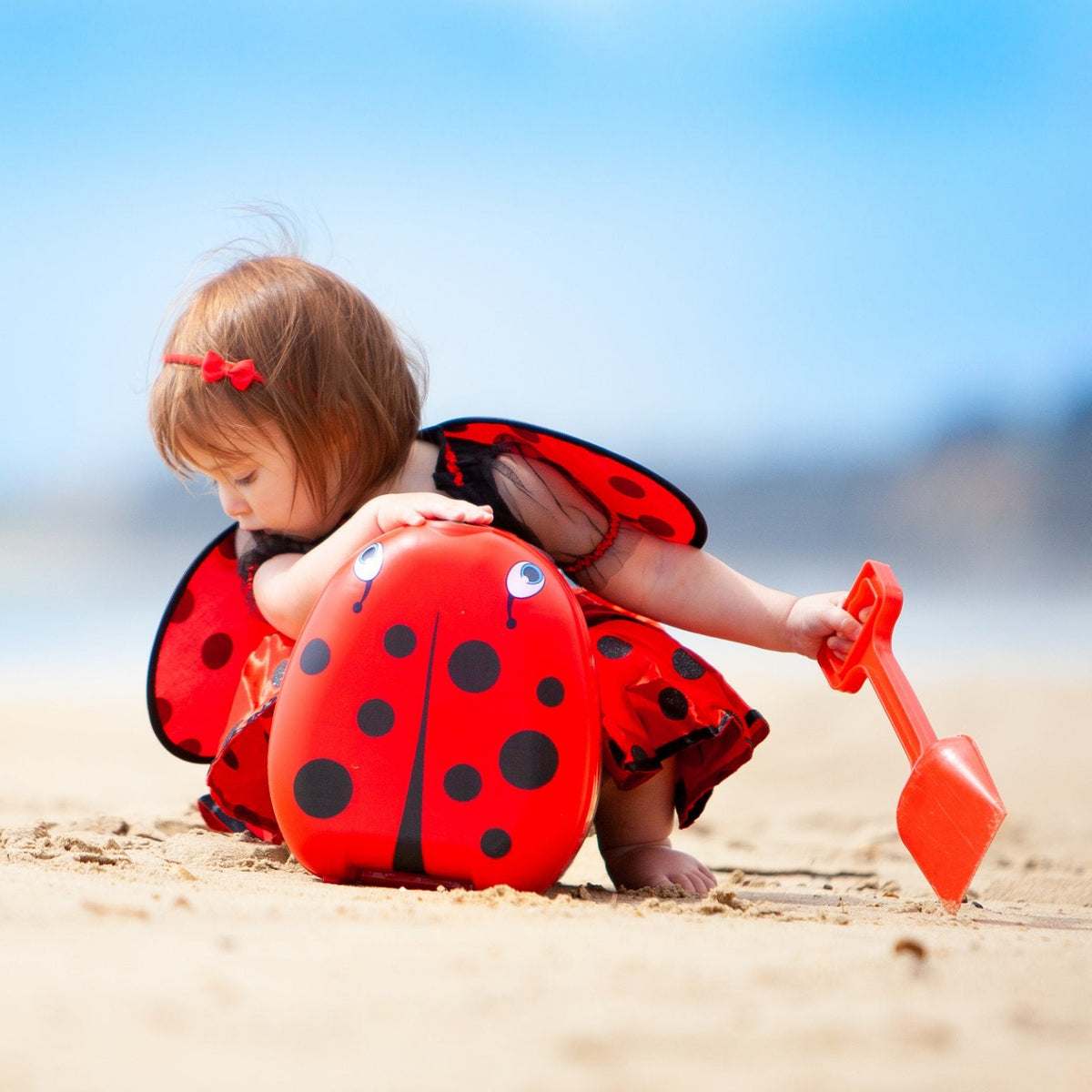 Ladybird My Carry Potty®, My Little Trainer Seat &amp; My Little Step Stool - My Carry Potty®